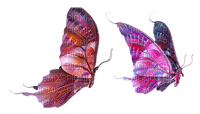 Butterfly- pages -2 - безплатен png