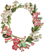flowers oval frame spring vintage - Gratis animeret GIF