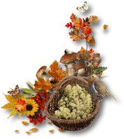 patymirabelle automne - zdarma png