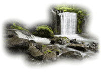 bosque - PNG gratuit