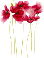 Y.A.M._Art Summer Flowers Decor - PNG gratuit