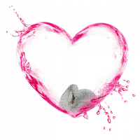 heart coeur pink water swan bird frame cadre rahmen tube - png grátis
