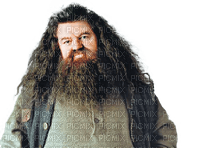 Kaz_Creations Harry Potter Hagrid - png grátis