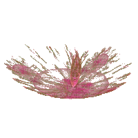 fraktál virág - Nemokamas animacinis gif