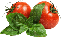 tomaten milla1959 - darmowe png