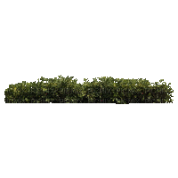 Трава - GIF animado grátis