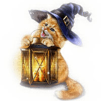 Halloween, Katze, Laterne - 免费PNG