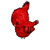 Oiseaux Rouge Noir:) - GIF animate gratis