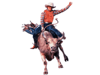 rodeo milla1959 - kostenlos png