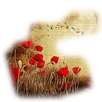 loly33 coquelicot - png gratis