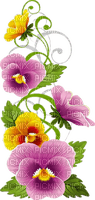 Stiefmütterchen, Blumen, Ranke - zadarmo png
