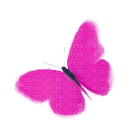 butterfly - ingyenes png