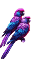 Pájaros- Rubicat - Free PNG