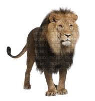 Kaz_Creations Lion - PNG gratuit