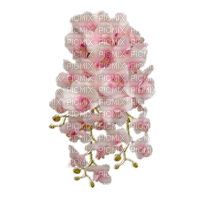 flower-orchide-pink-png - png ฟรี