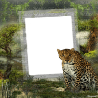 fond leopard - png grátis