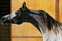chevaux - darmowe png