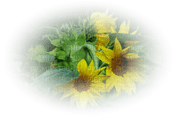 blomma.gul---flowers-yellow - gratis png
