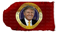 Trump Flag w Seal - Free animated GIF