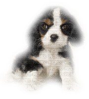 Tube Animaux Chien - фрее пнг