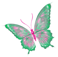 Butterfly.Green.Pink - besplatni png