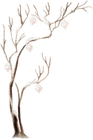 kikkapink deco tree branch winter white brown - бесплатно png