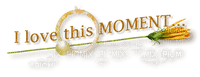 Kaz_Creations Deco Logo Text I Love this Moment - 免费PNG