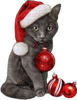 christmas cat - png gratis