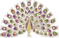 peacock - Безплатен анимиран GIF
