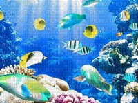 aquarium - nemokama png