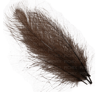 feathers anastasia - nemokama png