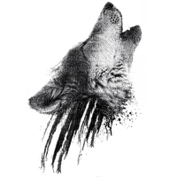Wolf - Free PNG