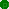 Point vert glitte Ouistiti-Titi - Ilmainen animoitu GIF