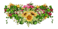 flower cluster - kostenlos png