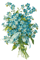 forget me not - kostenlos png