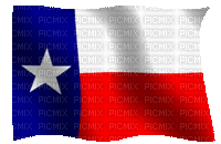 Texas Flag Slow - GIF animate gratis