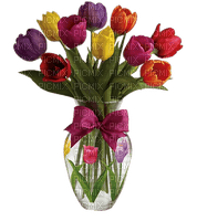 tulipan - gratis png