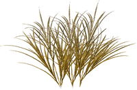 soave deco grass africa green - Free PNG