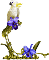 Parrot.Flowers.White.Blue.Green - 免费PNG