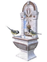 fontaine aux oiseaux - Nemokamas animacinis gif