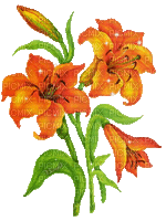 Y.A.M._Spring Flowers Decor - 免费动画 GIF