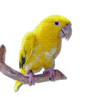Kaz_Creations Birds Bird Parrot Yellow - png gratis
