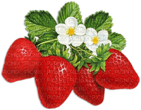 soave deco strawberry red green - darmowe png