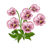flower, Violet - zdarma png