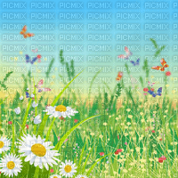 Y.A.M._Summer background - Free PNG