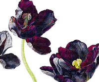 fleur violette.Cheyenne63 - PNG gratuit