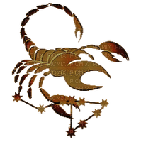 scorpion - zadarmo png