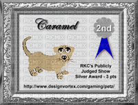Petz 2nd Place Certificate - Free animated GIF