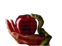 Adam and Eve bp - Free PNG