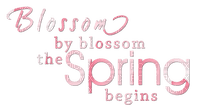 Spring.Text.Pink - PNG gratuit